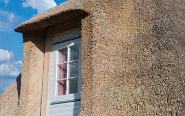 Lady House thatch roof disadvantages